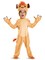Child's Boys Deluxe Kion The Lion King Prince Of Pride Rock Costume